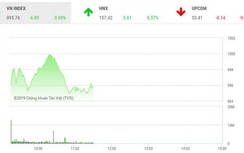 Tin tức chứng khoán ngày 25/2: Vì sao VN-Index chưa thể cán mốc 1.000 điểm?