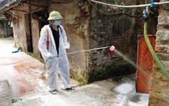 Thanh Hóa xuất hiện ổ dịch tả lợn Châu Phi