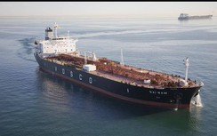 Liên minh đội tàu, doanh nghiệp vận tải biển hưởng lợi gì?