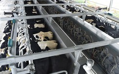 Vinamilk Hà Tĩnh - trang trại theo công nghệ hàng đầu thế giới