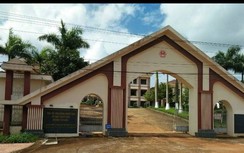 "Ăn" đất rừng, nguyên Phó chủ tịch UBND huyện bị khởi tố