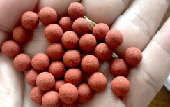 Liên tiếp bệnh nhân tử vong nghi uống “tiểu đường hoàn”