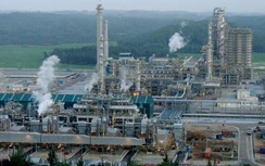 Giá dầu giảm, tổng doanh thu 2 tháng đầu năm của PVN vẫn vượt kế hoạch