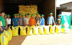 PVFCCo giữ vững danh hiệu Hàng Việt Nam chất lượng cao 16 năm liên tiếp