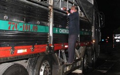 3 giờ sáng, Chủ tịch T.T-Huế đột xuất kiểm tra phòng chống dịch tả lợn