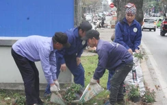 Người dân mang cả ô tô “hôi" hoa, công ty cây xanh có vô can?