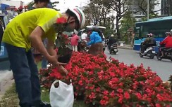 Dân "hôi" hoa sau thượng đỉnh Mỹ - Triều: Tâm lý “ăn xổi” và sự chủ quan