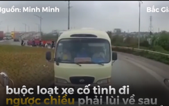 Xử phạt tài xế ô tô khách đi ngược chiều vòng xuyến bị xe container ép lùi