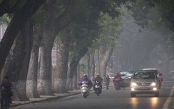 Dự báo thời tiết 9/3: Hà Nội mưa phùn và sương, nhiệt độ thấp nhất 17 độ C