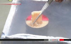 2 người Nhật bị bắt vì chuyển lậu trứng bò Wagyu đã thụ tinh