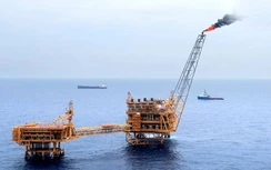 PVN chú trọng IR phát triển thương hiệu