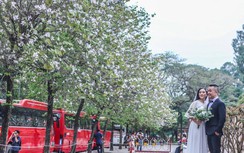 “Hà Nội 12 mùa hoa”, tháng 3 có gì?