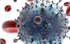 Việt Nam cân nhắc ghép tế bào gốc chữa khỏi HIV