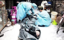 Video: Những gì đang diễn ra trong tâm ổ dịch tả lợn châu Phi giữa Hà Nội?