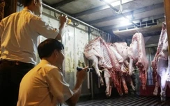 TP.HCM quyết liệt ngăn dịch tả lợn châu Phi