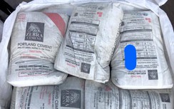 Xi măng Hoàng Mai xuất khẩu đóng bao bì Long Sơn: Lỗi do vô ý?