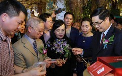 Tận mắt ngắm “báu vật đại ngàn” Sâm Ngọc Linh giữa lòng Thủ đô