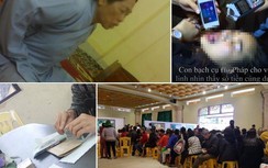 Video: Toàn cảnh chùa Ba Vàng và việc truyền bá "vong báo oán"