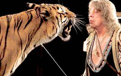 Ukraine cấm các rạp xiếc lưu diễn nếu có động vật