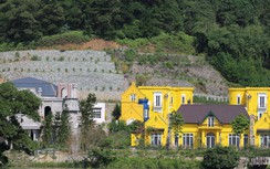 Chỉ 2 xã ở Sóc Sơn đã có gần 800 công trình vi phạm đất rừng