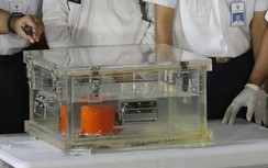 Hé lộ thông tin mới khi giải mã hộp đen máy bay Boeing 737 MAX