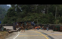 Lật xe tải chở ong trên đèo Lò Xo gây ùn tắc nghiêm trọng