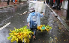 Thời tiết ngày 26/3: Hà Nội mưa phùn buổi sáng, nhiệt độ tăng nhẹ