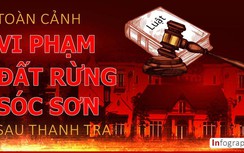Infographic: Toàn cảnh vi phạm đất rừng Sóc Sơn sau thanh tra