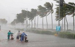 Dự báo mới nhất về các cơn bão trong năm 2019