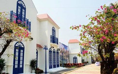 Đà Nẵng bùng nổ đêm nhạc quy tụ "dàn sao khủng" ra mắt BĐS