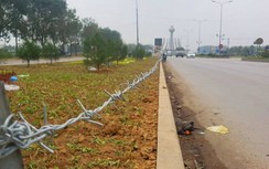 Thanh Hóa: Rào dây thép gai ở dải phân giữa, ẩn họa khôn lường