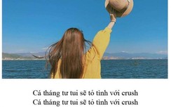 Cách tỏ tình crush ngày Cá tháng Tư