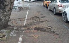 Hà Nội: Gần 300 tuyến đường sẽ được cải tạo lại vỉa hè