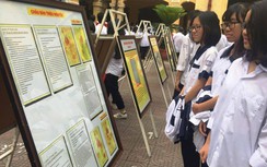 Học sinh Hải Phòng hào hứng với tư liệu Hoàng Sa, Trường Sa