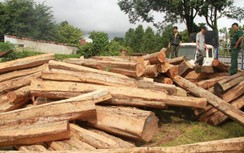 Vì sao Tỉnh ủy Gia Lai đề nghị Bộ Công an điều tra Hùng "sida"?