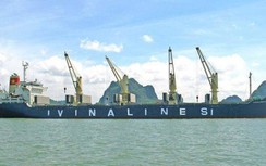 Vinalines đạt doanh thu gần 2.900 tỷ đồng