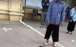 Bé trai 11 tuổi ở Sơn La tử vong sau 3 tháng bị chó cắn