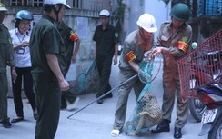 Những pha rượt đuổi kịch tính của đội bắt chó thả rông