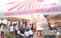 Lễ hội Bánh dân gian Nam Bộ năm nay có gì đặc sắc?