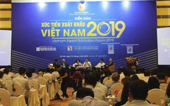 Không nhất thiết phải chạy ra nước ngoài mà có thể xuất khẩu ngay nội địa