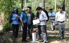 Dự án cao tốc Cam Lộ-La Sơn qua Huế: Đo đạc kiểm đếm ngay khi nhận cọc GPMB