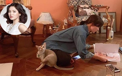 Lộ chi tiết quan trọng chứng minh Song Hye Kyo đang mang bầu?