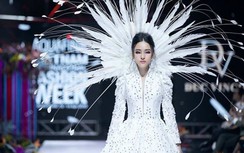 Anti-fans nổi đóa, chê Trương Hồ Phương Nga "mặt dày" khi tái xuất showbiz