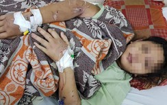 Luật sư: Tra tấn cô gái đến sẩy thai là hành vi giết người