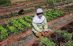 Người Sài Gòn tiếp tục vật vã trong nắng nóng "như chảo lửa"