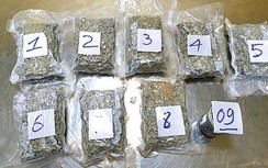 Ma túy vẫn tiếp tục “len lỏi” qua đường hàng không