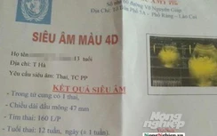 Tạm đình chỉ công tác thầy giáo bị tố làm nữ sinh lớp 8 mang thai