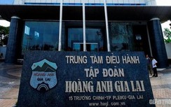 Vì sao HAGL không nộp số tiền nợ 106,4 tỷ đồng tại Cục Thuế Gia Lai