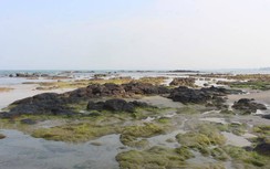 Khám phá điểm du lịch dã ngoại, "trốn nắng" lý tưởng ở Quảng Trị