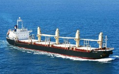 Đội tàu biển giảm mạnh bị lưu giữ, tiếp tục xếp trong "danh sách trắng"